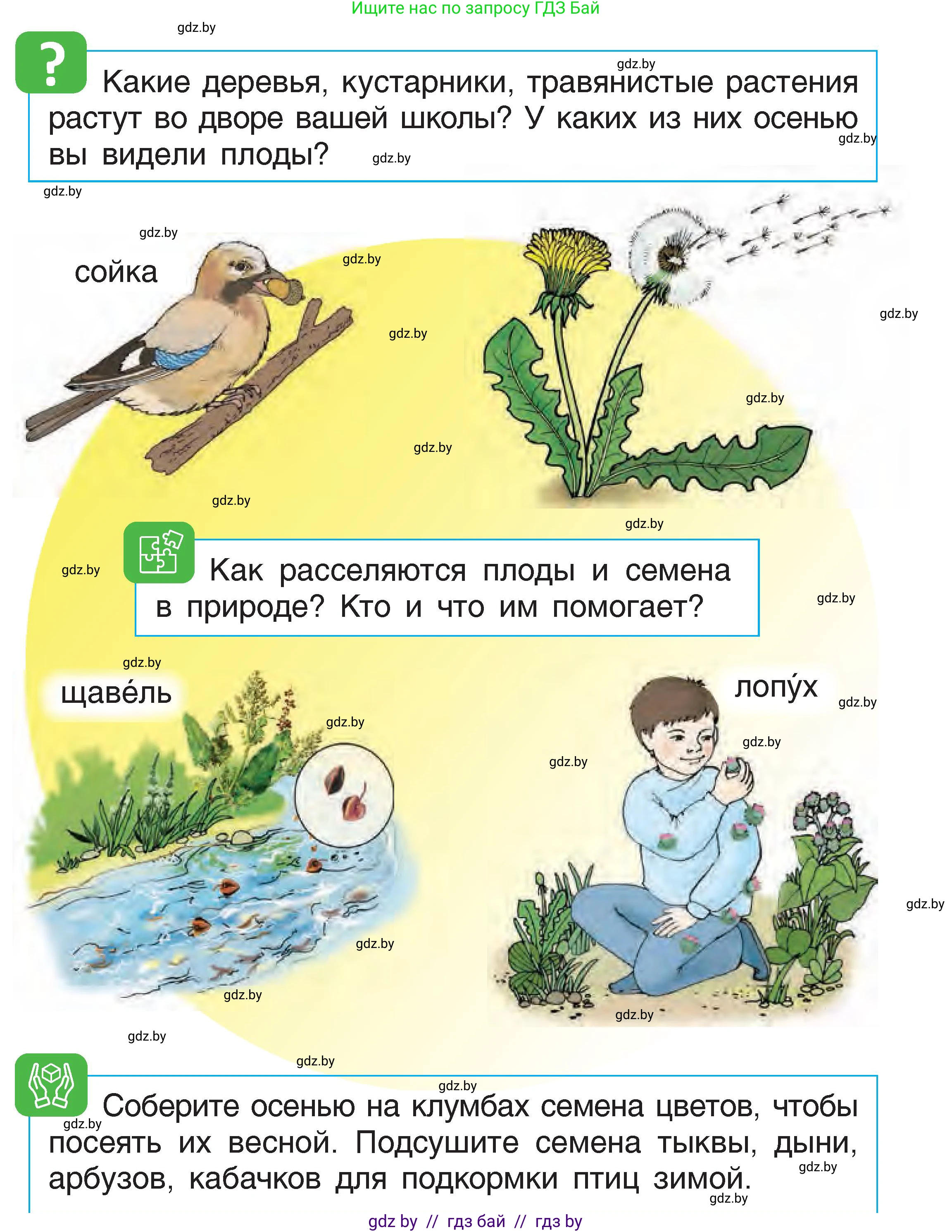 Условие  17 (страница 17) гдз по человек и миру 1 класс Трафимова, Трафимов, учебник