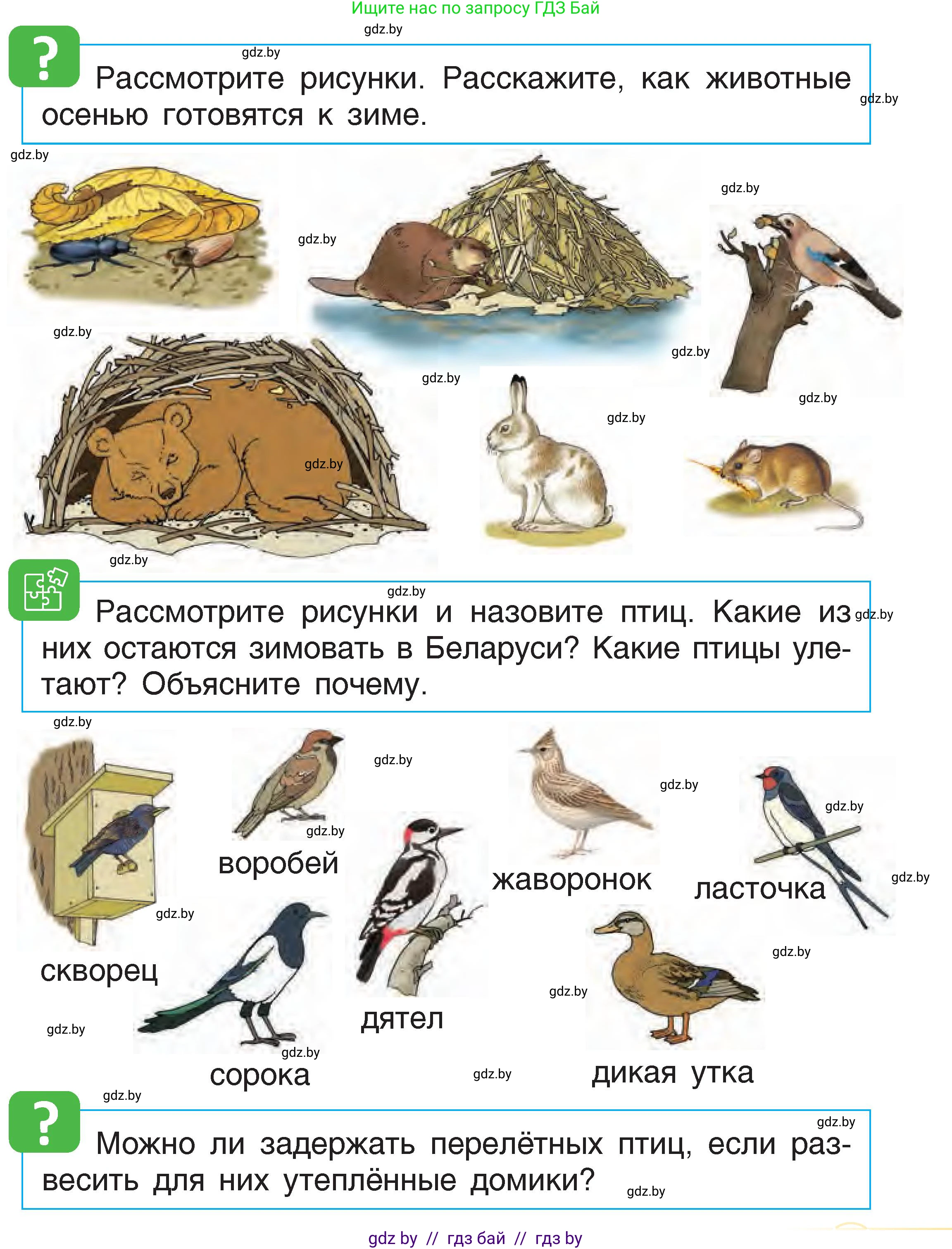 Условие  31 (страница 31) гдз по человек и миру 1 класс Трафимова, Трафимов, учебник