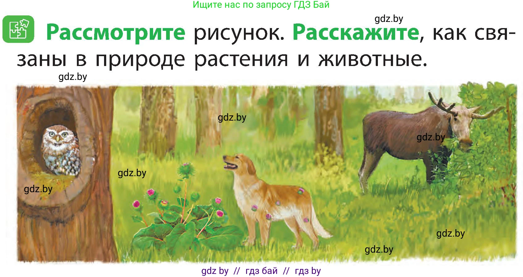 Условие номер 3 (страница 7) гдз по человек и миру 2 класс Трафимова, Трафимов, учебник