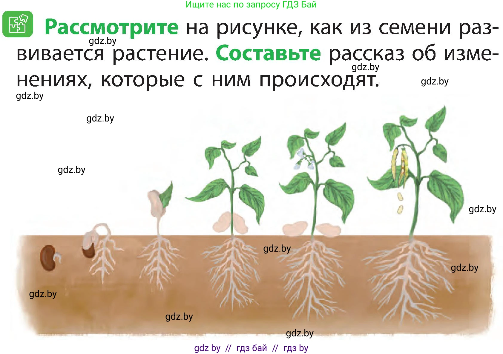 Условие номер 5 (страница 43) гдз по человек и миру 2 класс Трафимова, Трафимов, учебник