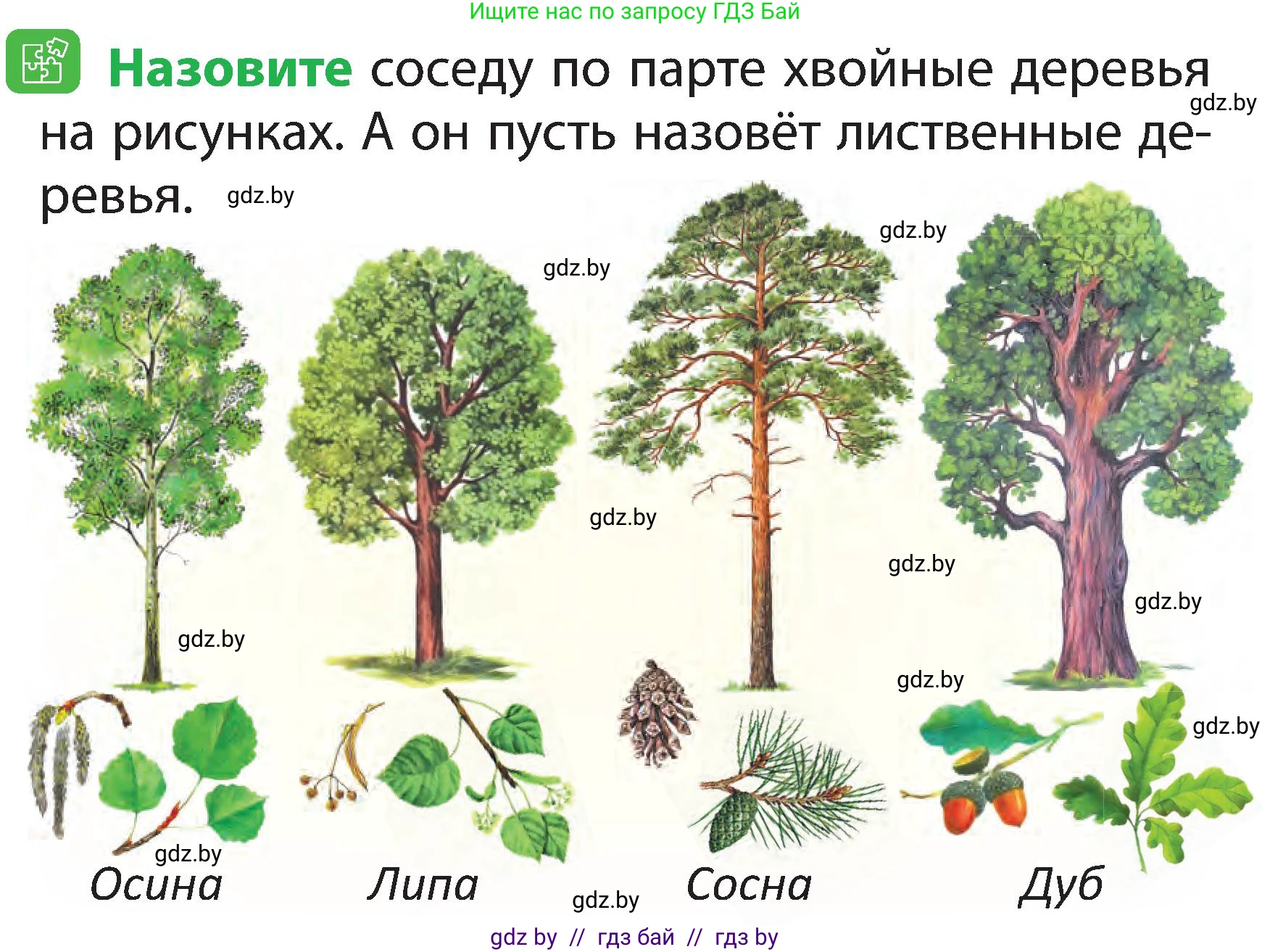 Условие номер 3 (страница 45) гдз по человек и миру 2 класс Трафимова, Трафимов, учебник