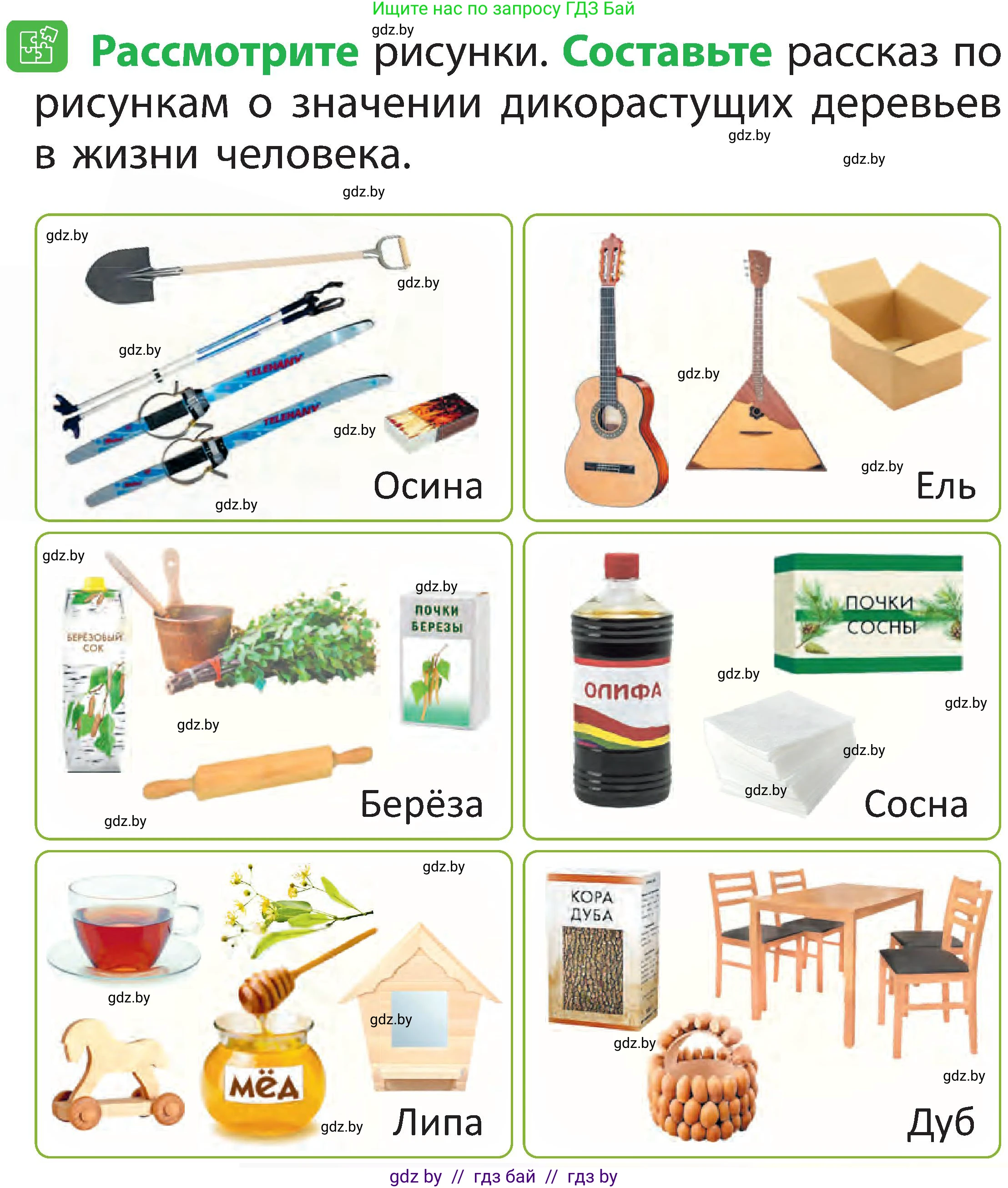 Условие номер 7 (страница 47) гдз по человек и миру 2 класс Трафимова, Трафимов, учебник