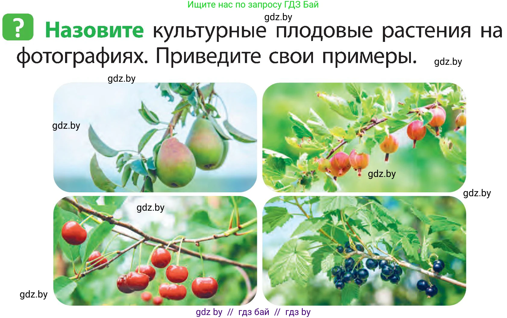 Условие номер 3 (страница 65) гдз по человек и миру 2 класс Трафимова, Трафимов, учебник