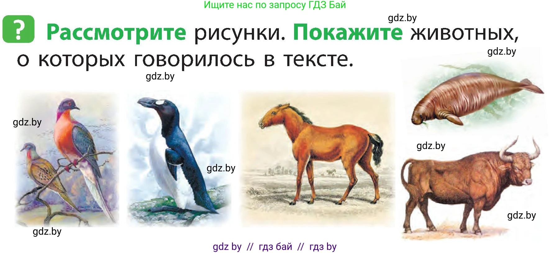 Условие номер 2 (страница 107) гдз по человек и миру 2 класс Трафимова, Трафимов, учебник