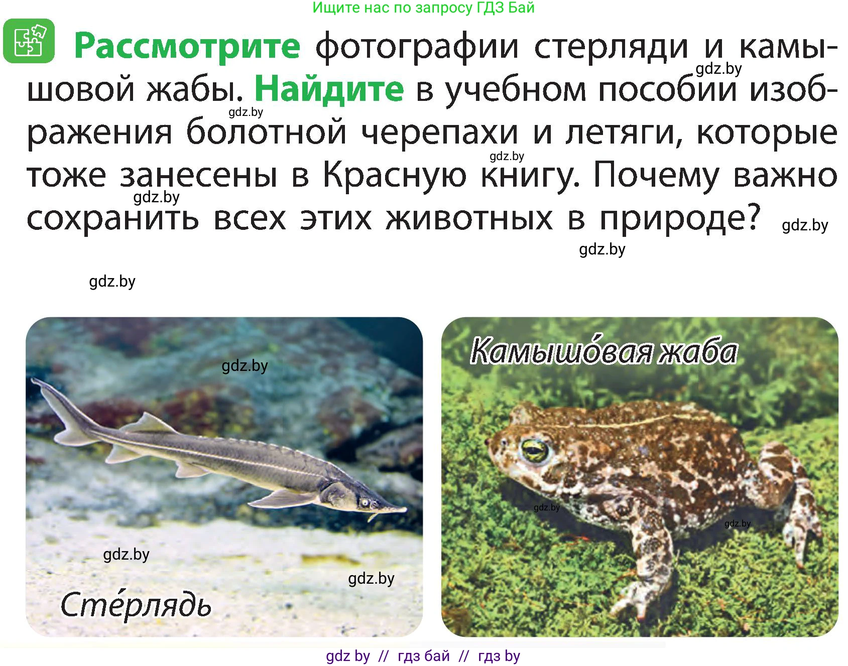Условие номер 3 (страница 108) гдз по человек и миру 2 класс Трафимова, Трафимов, учебник