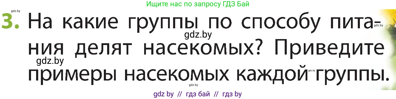 Условие номер 3 (страница 81) гдз по человек и миру 2 класс Трафимова, Трафимов, учебник