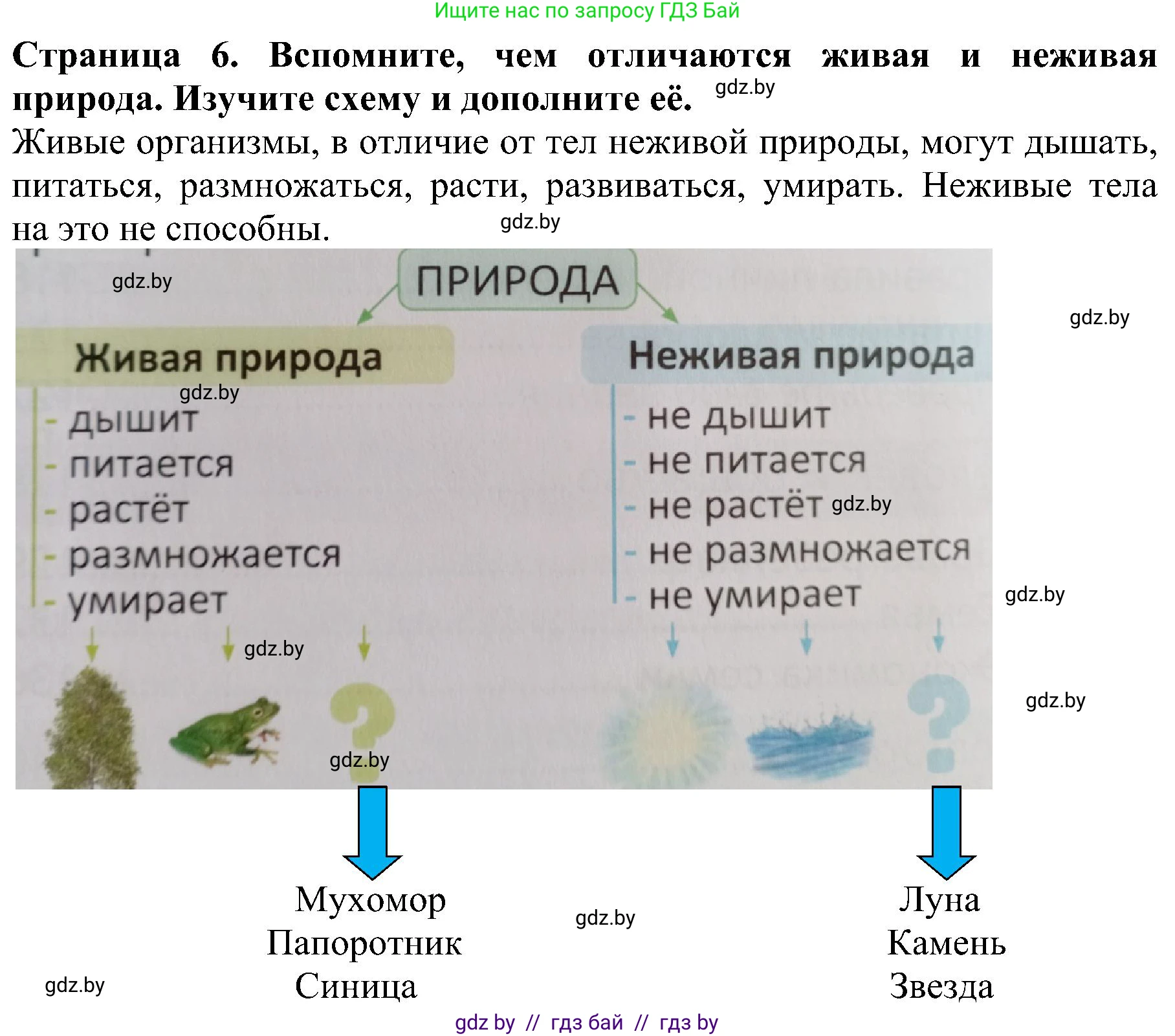Решение номер 2 (страница 6) гдз по человек и миру 2 класс Трафимова, Трафимов, учебник