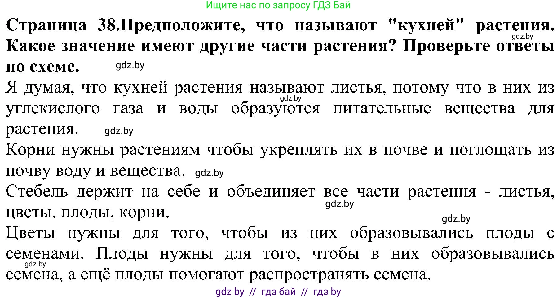 Решение номер 4 (страница 38) гдз по человек и миру 2 класс Трафимова, Трафимов, учебник