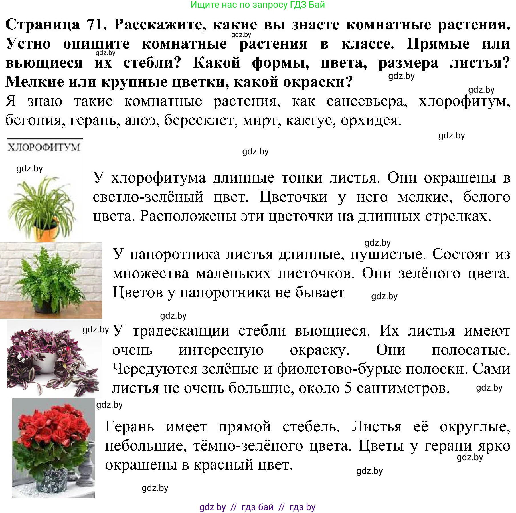 Решение номер 5 (страница 71) гдз по человек и миру 2 класс Трафимова, Трафимов, учебник