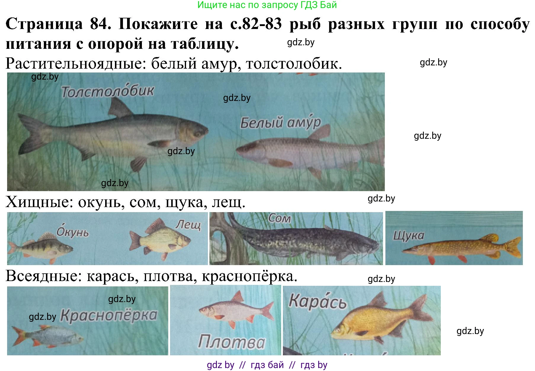 Решение номер 4 (страница 84) гдз по человек и миру 2 класс Трафимова, Трафимов, учебник