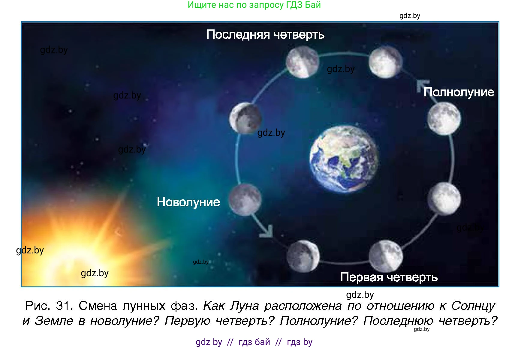 Условие  Вопросы внутри параграфа (страница 55) гдз по человек и миру 5 класс Лопух, Сарычева, учебник