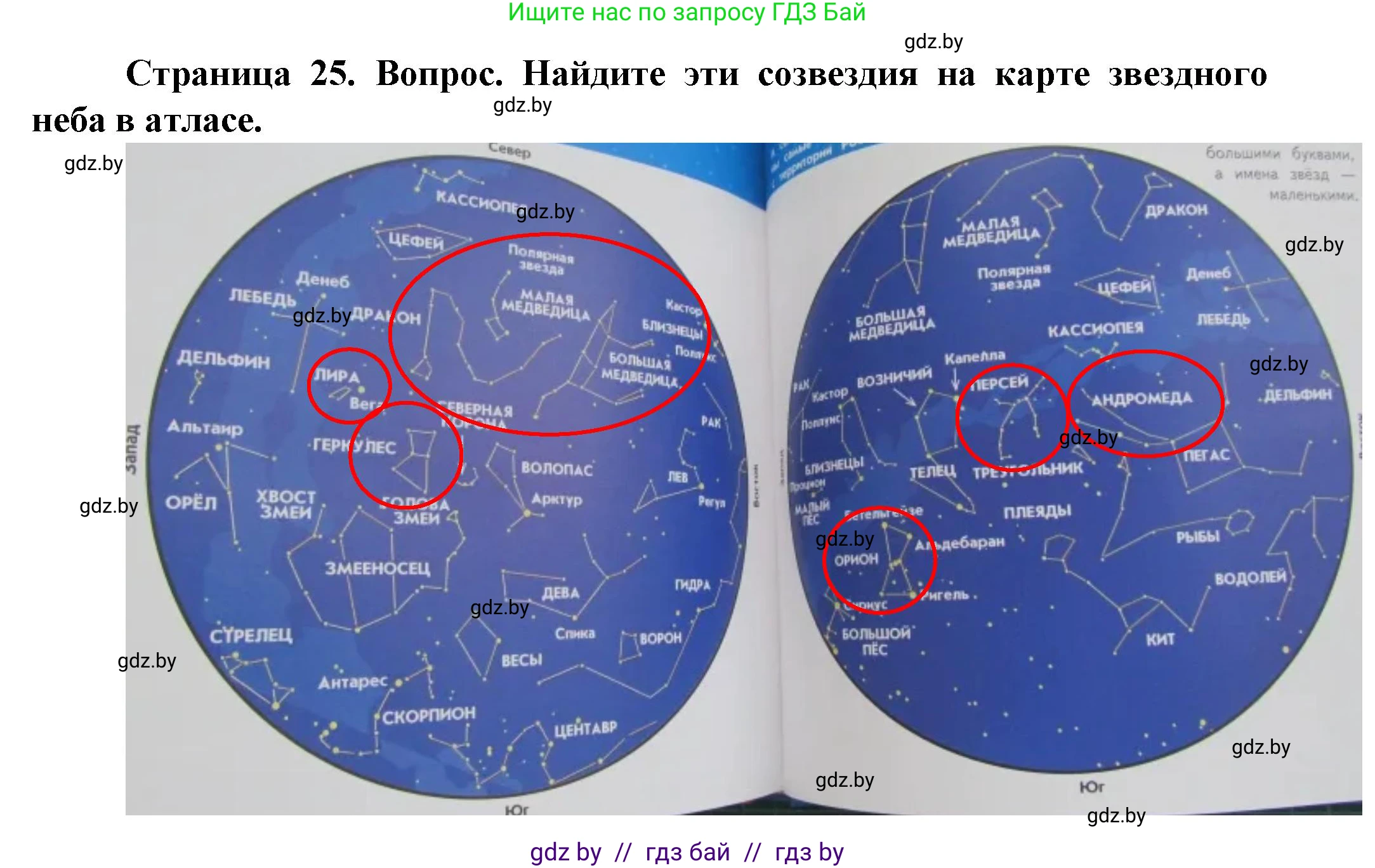Решение номер 2 (страница 25) гдз по человек и миру 5 класс Лопух, Сарычева, учебник