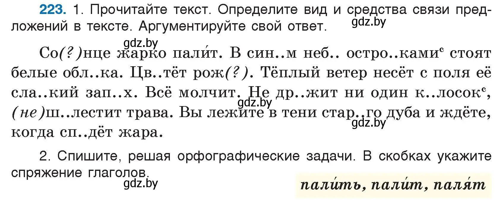 Условие номер 223 (страница 113) гдз по русскому языку 5 класс Мурина, Игнатович, учебник 1 часть