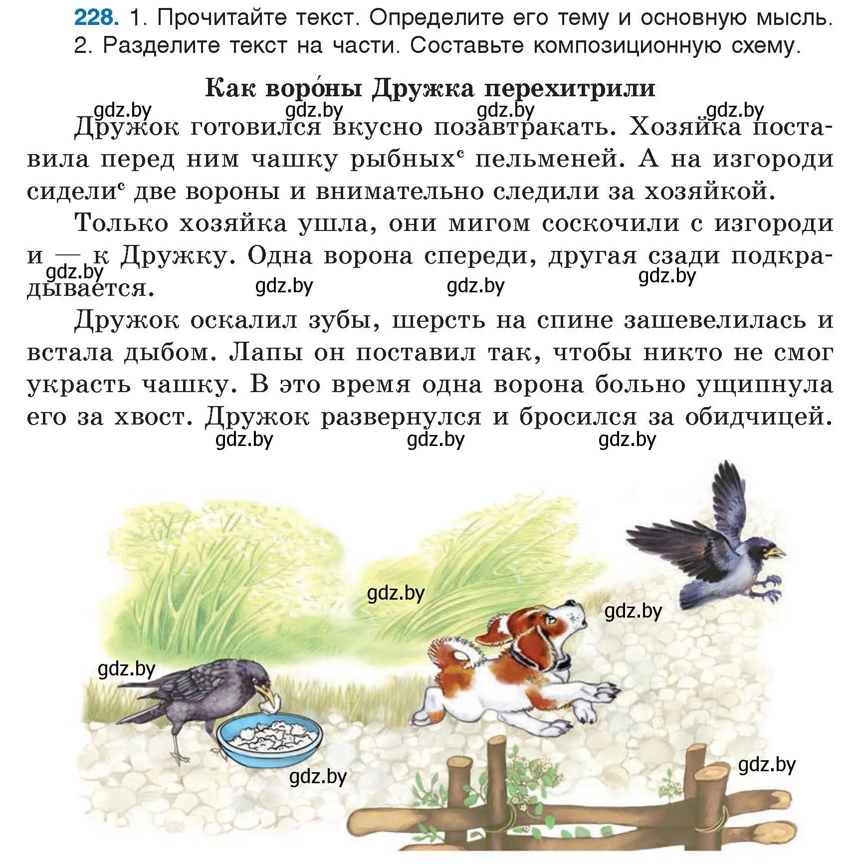 Условие номер 228 (страница 117) гдз по русскому языку 5 класс Мурина, Игнатович, учебник 1 часть