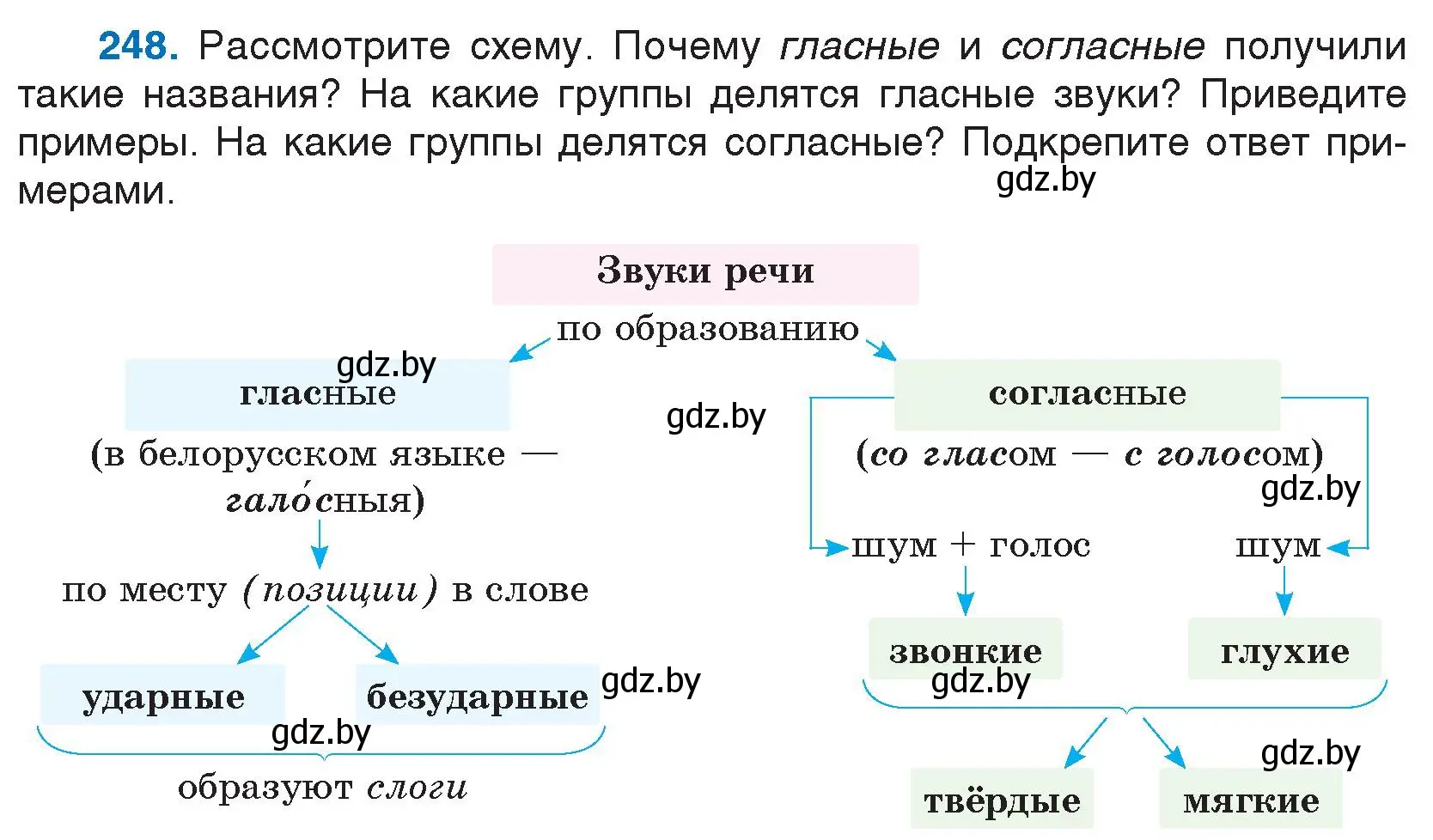 Условие номер 248 (страница 128) гдз по русскому языку 5 класс Мурина, Игнатович, учебник 1 часть