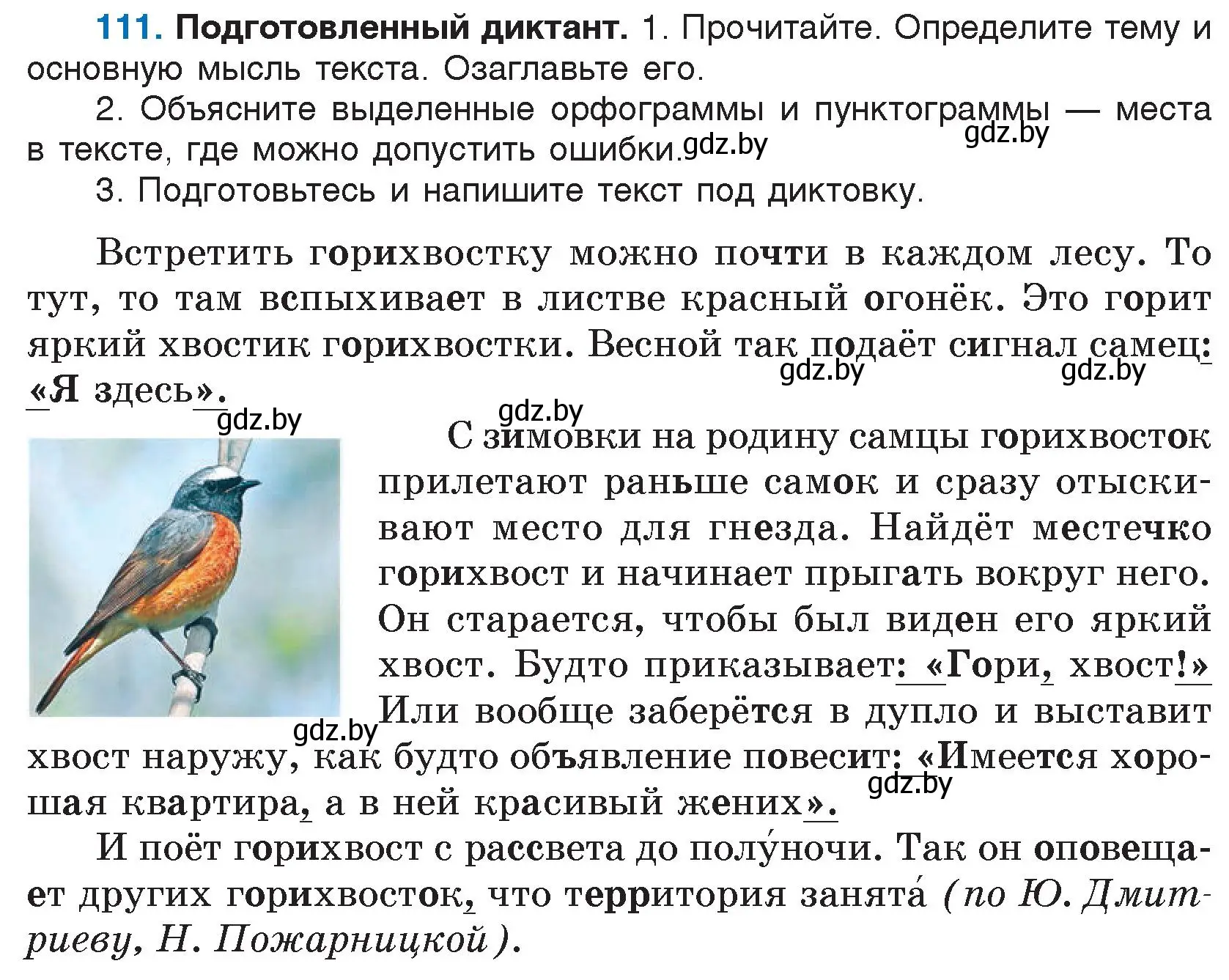 Условие номер 111 (страница 64) гдз по русскому языку 5 класс Мурина, Игнатович, учебник 2 часть