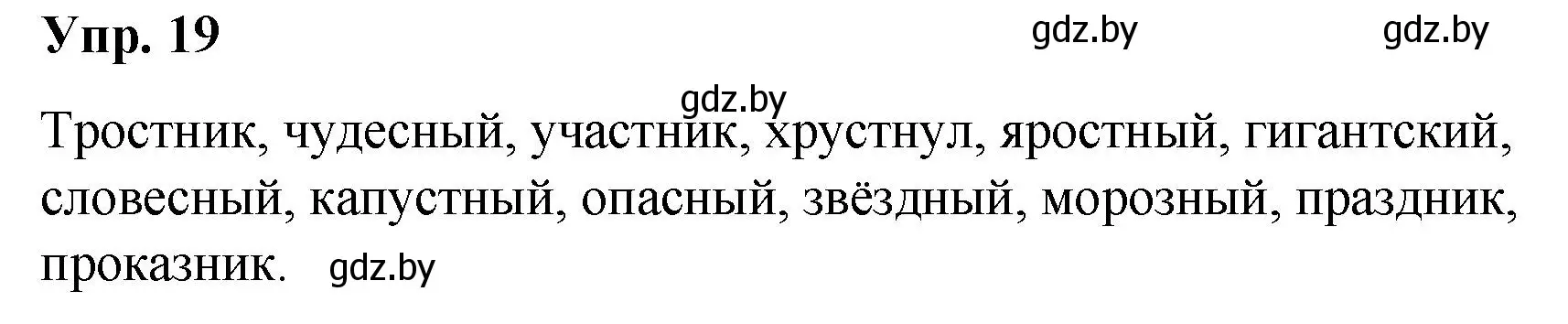 Решение номер 19 (страница 14) гдз по русскому языку 5 класс Мурина, Игнатович, учебник 1 часть