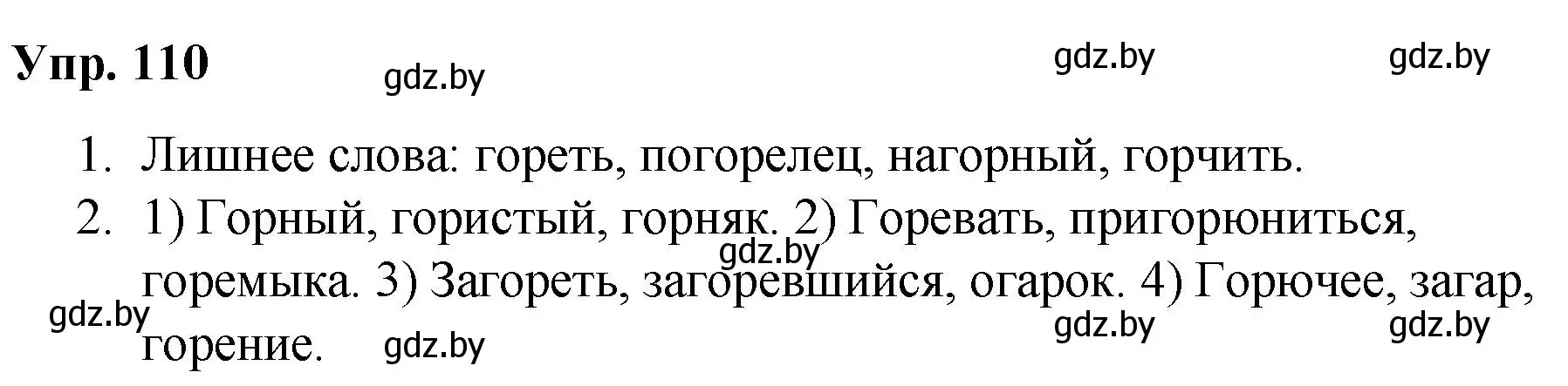 Решение номер 110 (страница 64) гдз по русскому языку 5 класс Мурина, Игнатович, учебник 2 часть