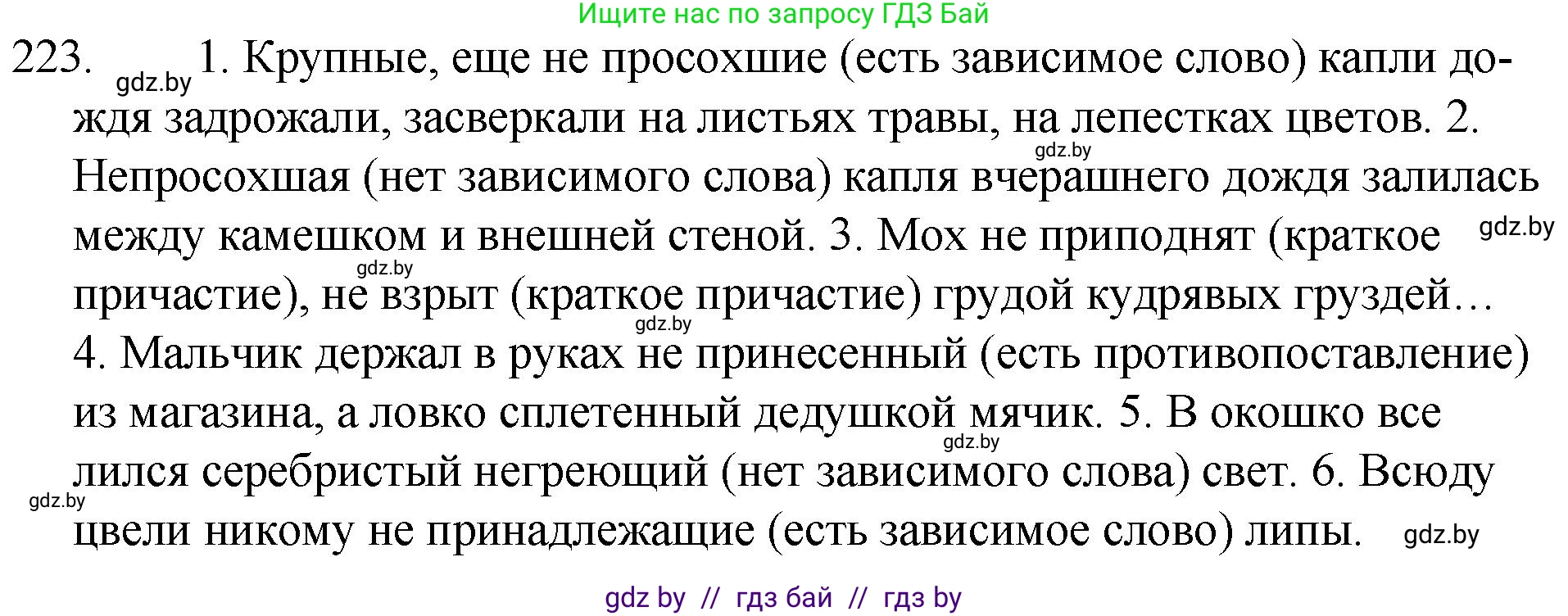 Решение номер 223 (страница 109) гдз по русскому языку 7 класс Волынец, Литвинко, учебник