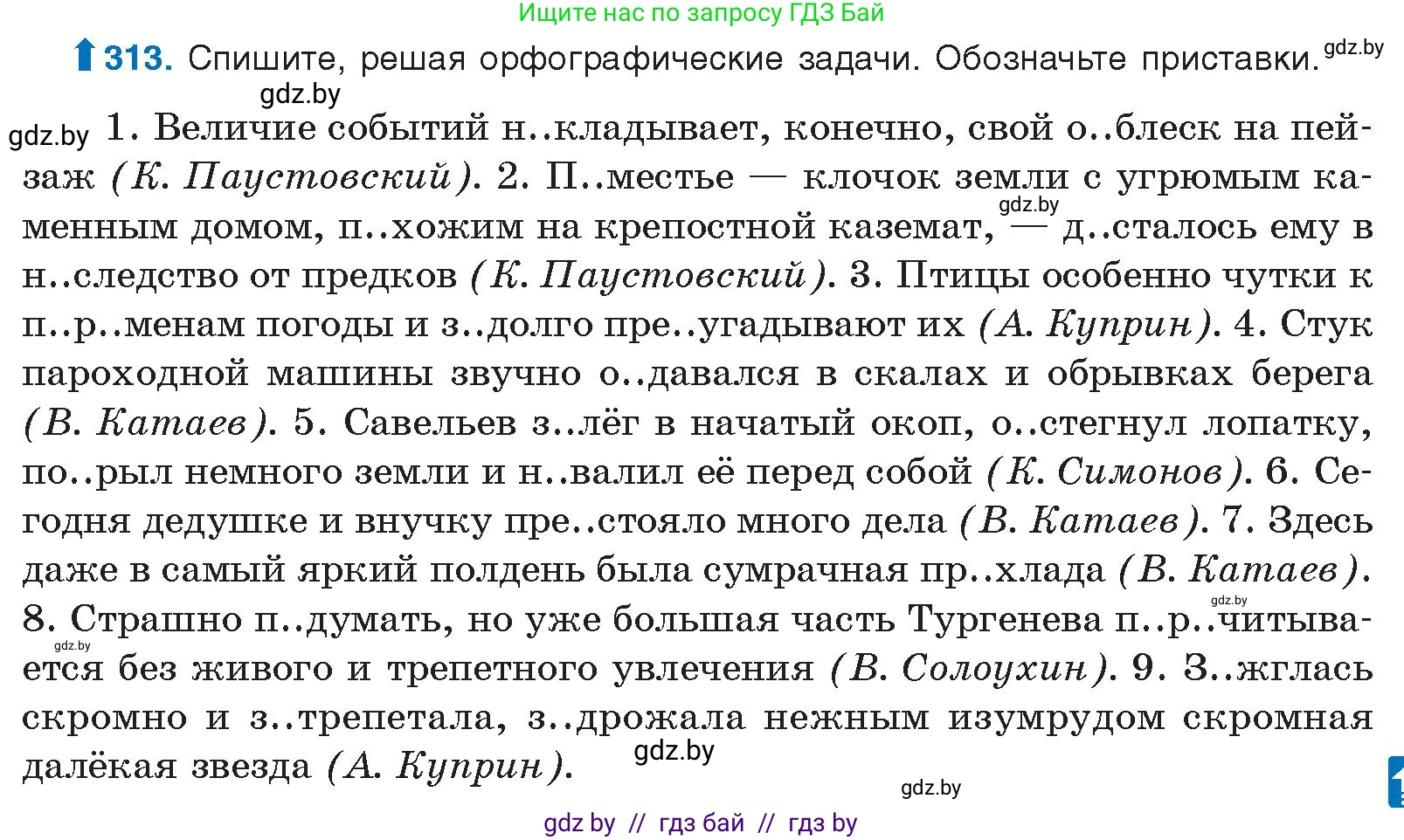 Условие номер 313 (страница 165) гдз по русскому языку 10 класс Леонович, Волынец, учебник