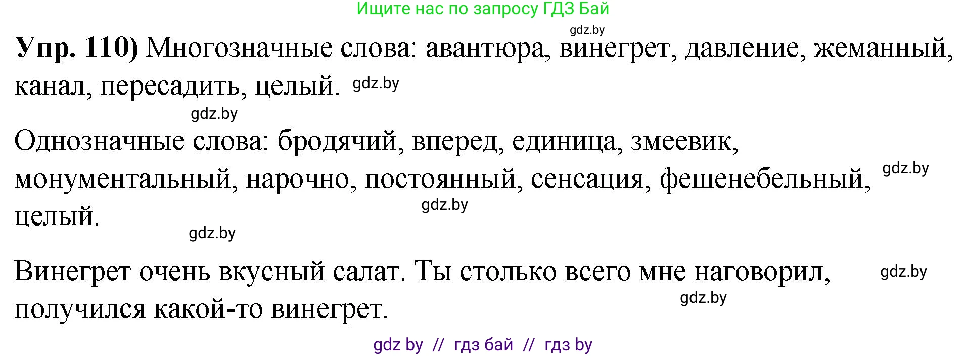 Решение номер 110 (страница 72) гдз по русскому языку 10 класс Леонович, Волынец, учебник