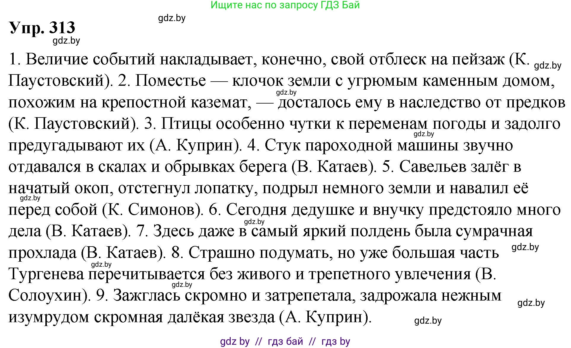 Решение номер 313 (страница 165) гдз по русскому языку 10 класс Леонович, Волынец, учебник