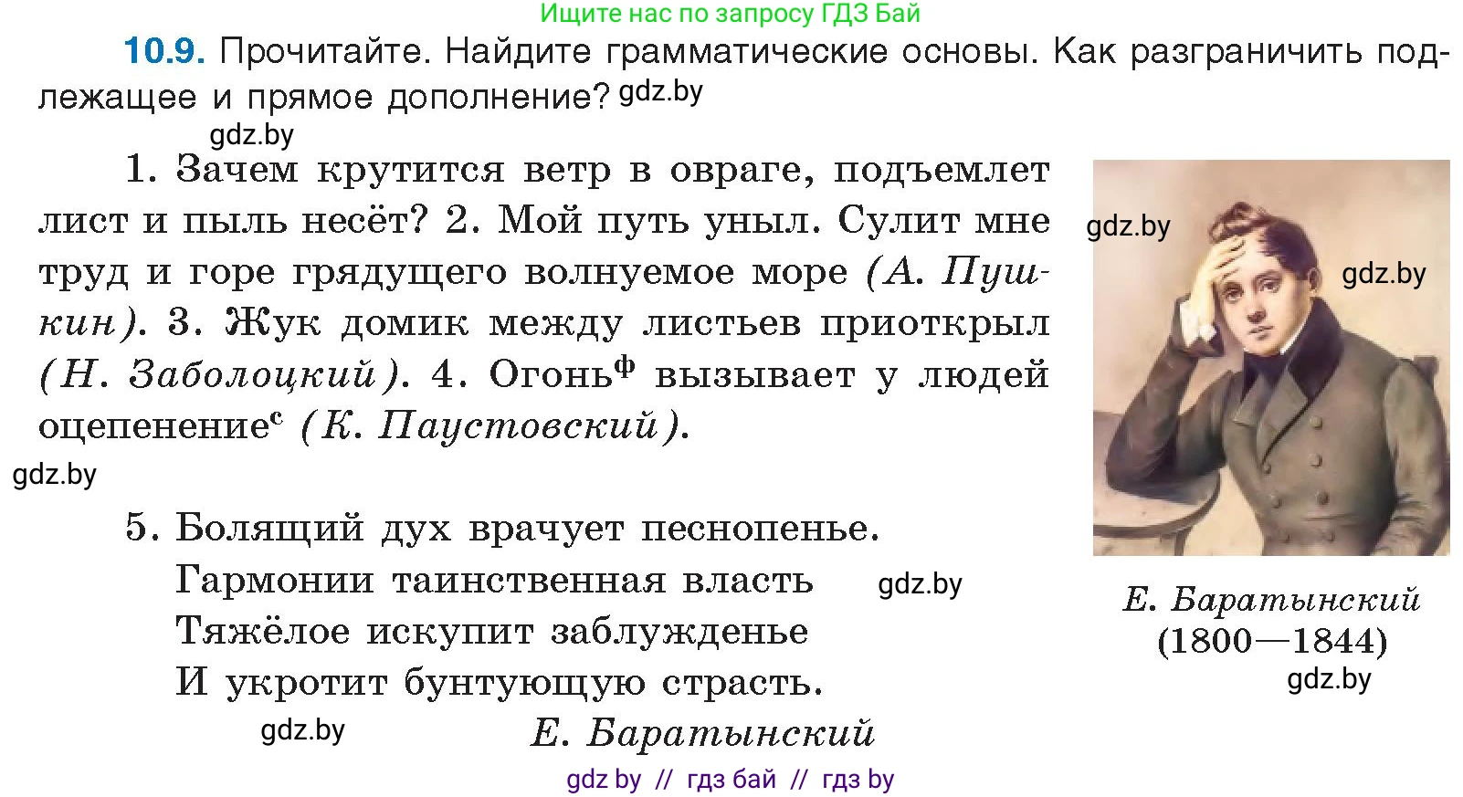 Условие номер 10.9 (страница 63) гдз по русскому языку 11 класс Долбик, Литвинко, учебник