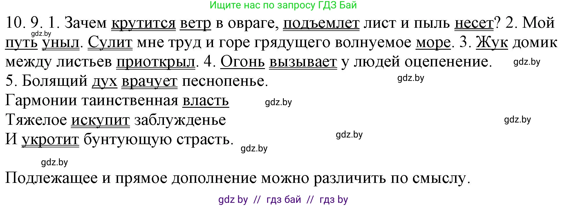 Решение номер 10.9 (страница 63) гдз по русскому языку 11 класс Долбик, Литвинко, учебник