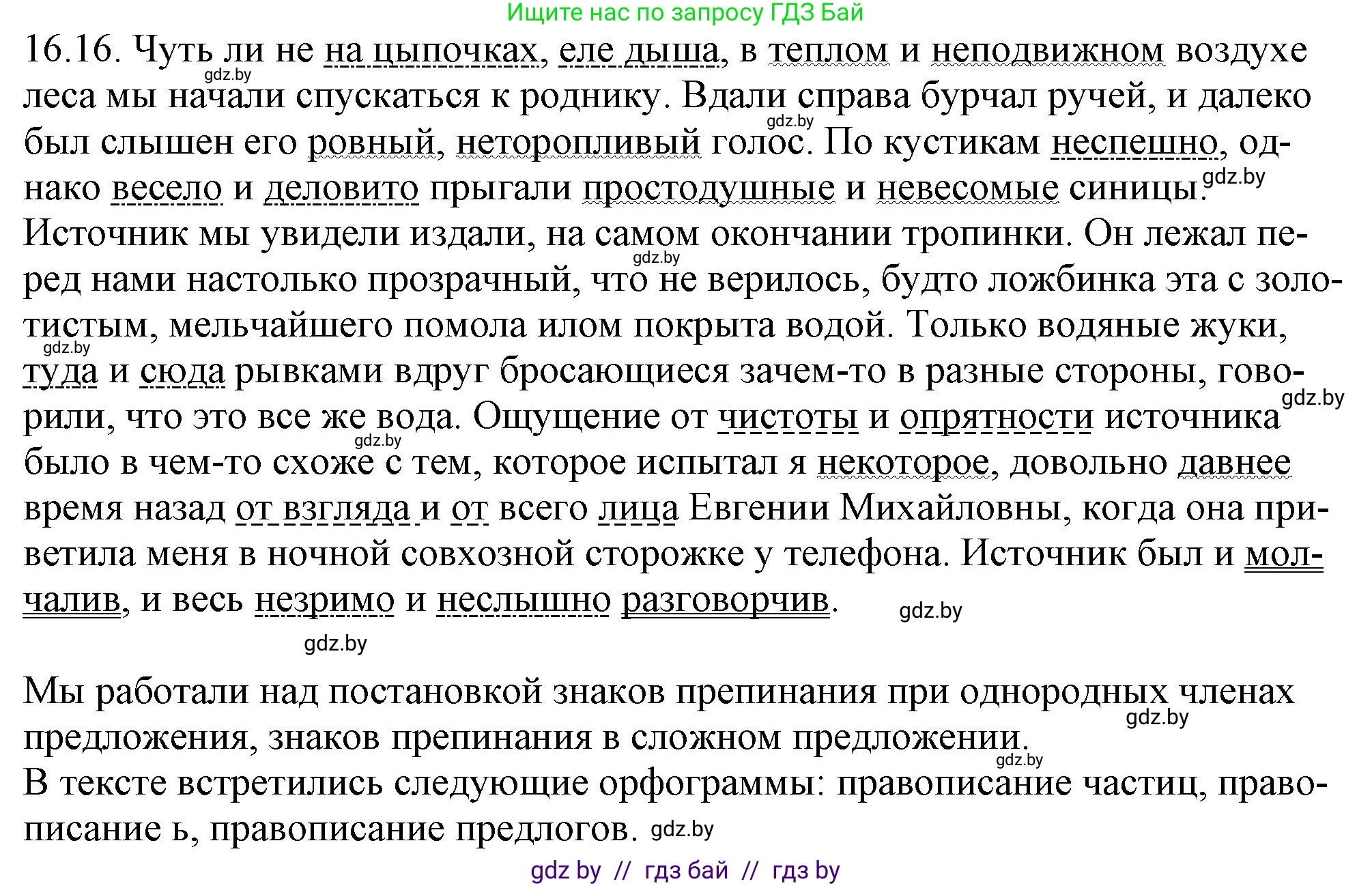 Решение номер 16.16 (страница 101) гдз по русскому языку 11 класс Долбик, Литвинко, учебник