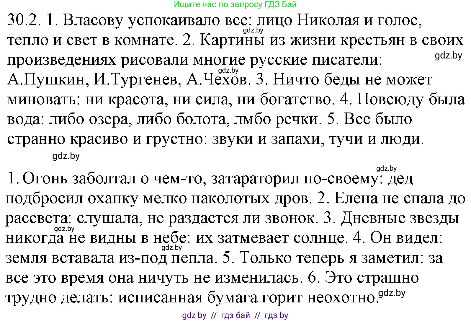 Решение номер 30.2 (страница 209) гдз по русскому языку 11 класс Долбик, Литвинко, учебник